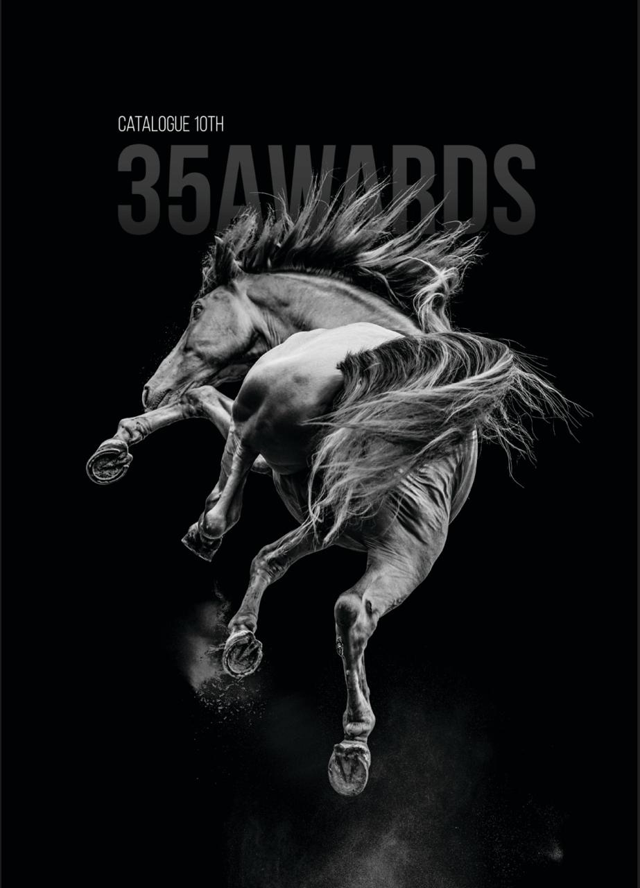 35 Awards 10th edition catalog